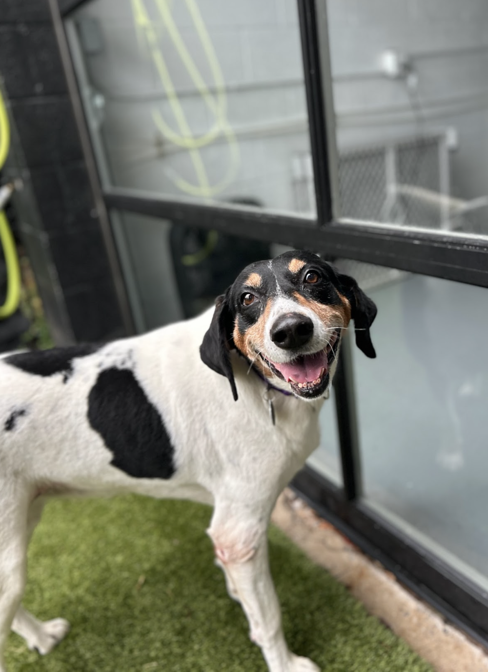 Screenshot+2025-10-09+at+8.50.